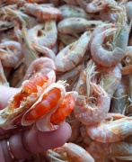 Tôm đất khô nguyên vỏ lớn